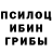 Галлюциногенные грибы Magic Shrooms Rafa Tak