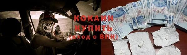 дживик Лихославль