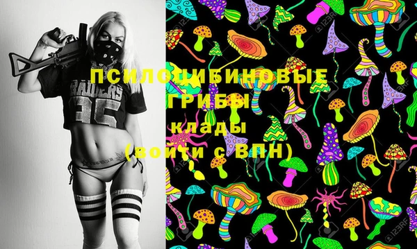 МДПВ Майский