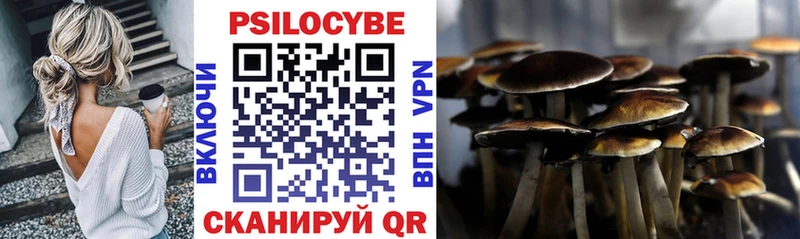 Галлюциногенные грибы прущие грибы Курчалой