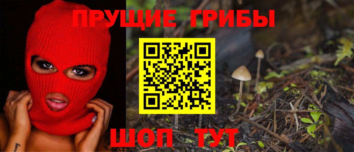 Галлюциногенные грибы Cubensis  Вход с VPN  цены наркотик  Курчалой 